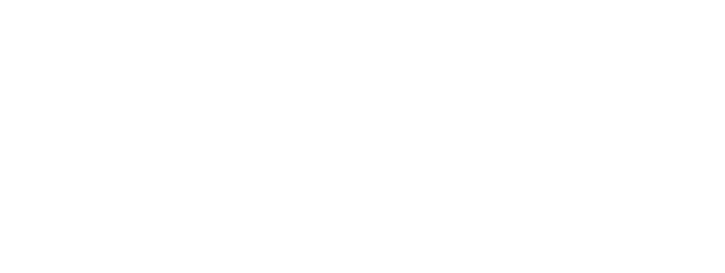 ORBIS Leather
